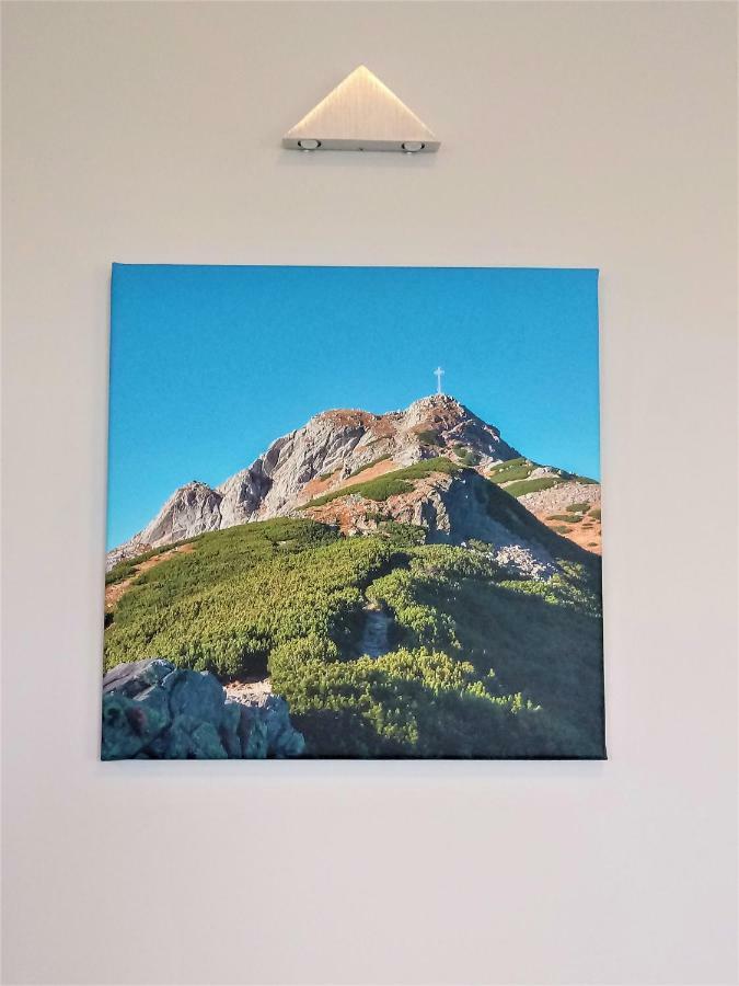 Willa Na Olczanskim Wierchu Bukowina Tatrzanska Luaran gambar